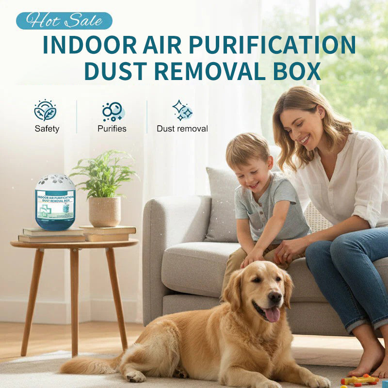 🔥2026 New Collection - Limited-Time Pre-Sale⏰Indoor Air Purification Dust Removal Box🏠🌿