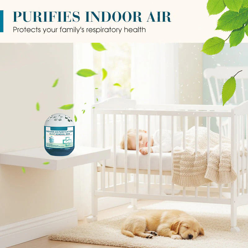 🔥2026 New Collection - Limited-Time Pre-Sale⏰Indoor Air Purification Dust Removal Box🏠🌿