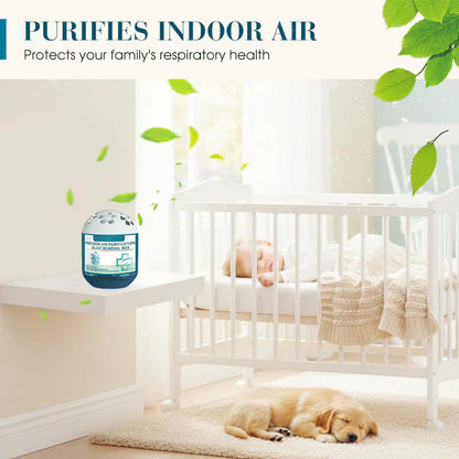 🔥2026 New Collection - Limited-Time Pre-Sale⏰Indoor Air Purification Dust Removal Box🏠🌿
